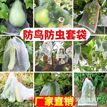 尼龙网袋套袋浸种袋火龙果袋葡萄水果套袋果树防虫防鸟网袋子加厚