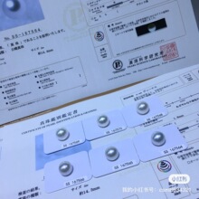 维纳斯澳白珍珠海水南洋珍珠 尺寸14-15/15-16mm 高品质澳白