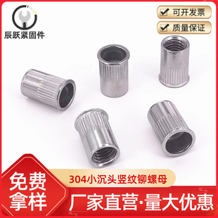 304���P�С���^�Q�y���T��ĸ �L���l�y�T����ĸ ͨ���T��ĸ ���T