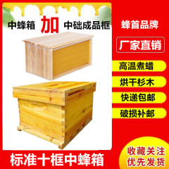 全セットの完成品の中で蜂の箱を煮てワックスの蜂の箱を煮ます。