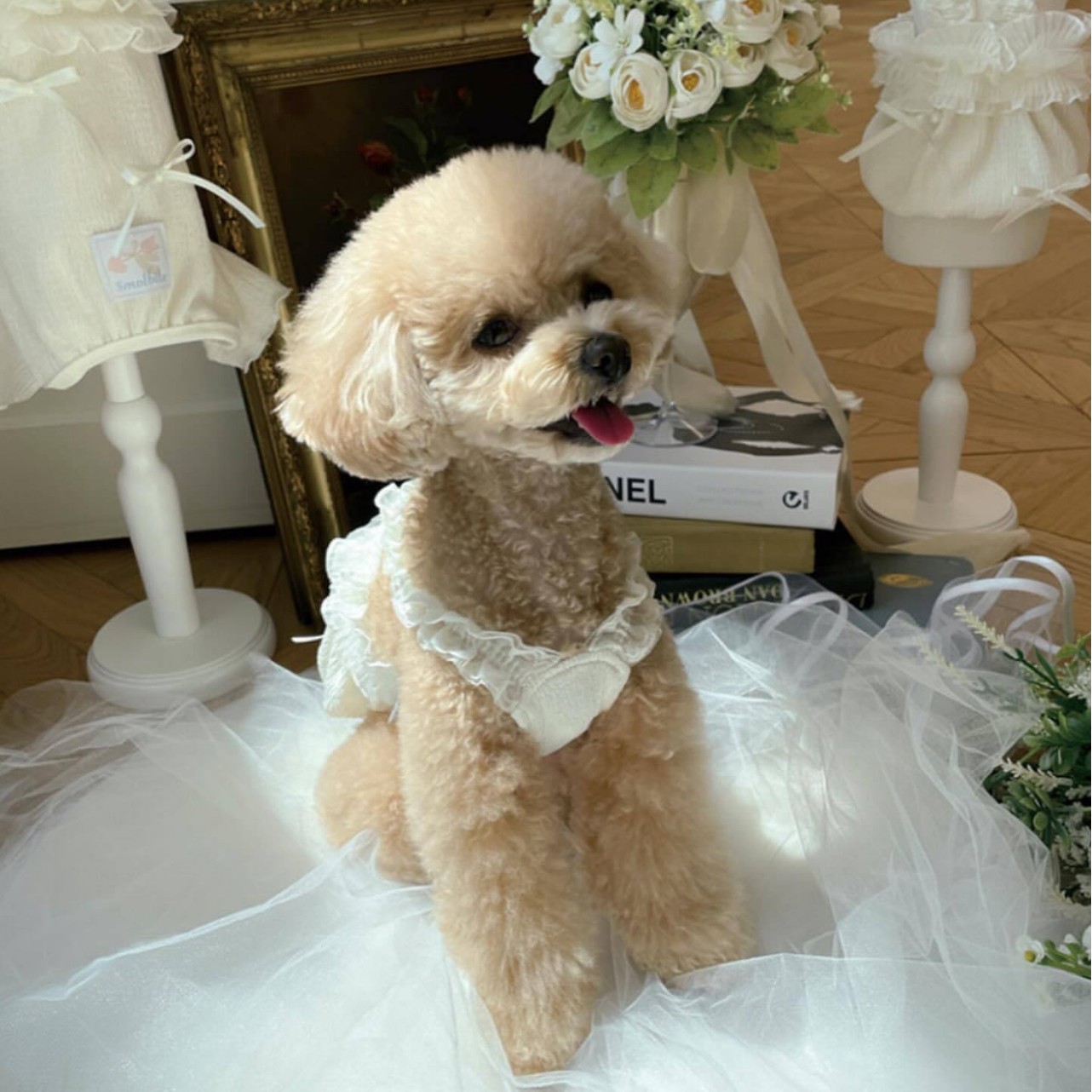 강아지 고양이 화이트 레이스 공주 치마 반려동물 애견 애묘 옷 INS풍 끈 스
