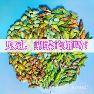 �S�������������ȫ���ֺ����^�p�Ѻ����P���O����ϡ�з���