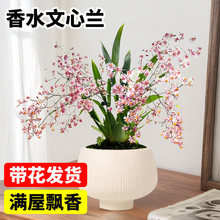 ��ˮ�����m�����m�����m�҃����������m�������l؛�������ļ����B