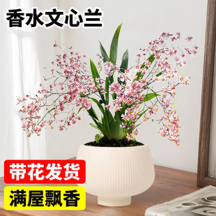 ��ˮ�����m�����m�����m�҃����������m�������l؛�������ļ����B