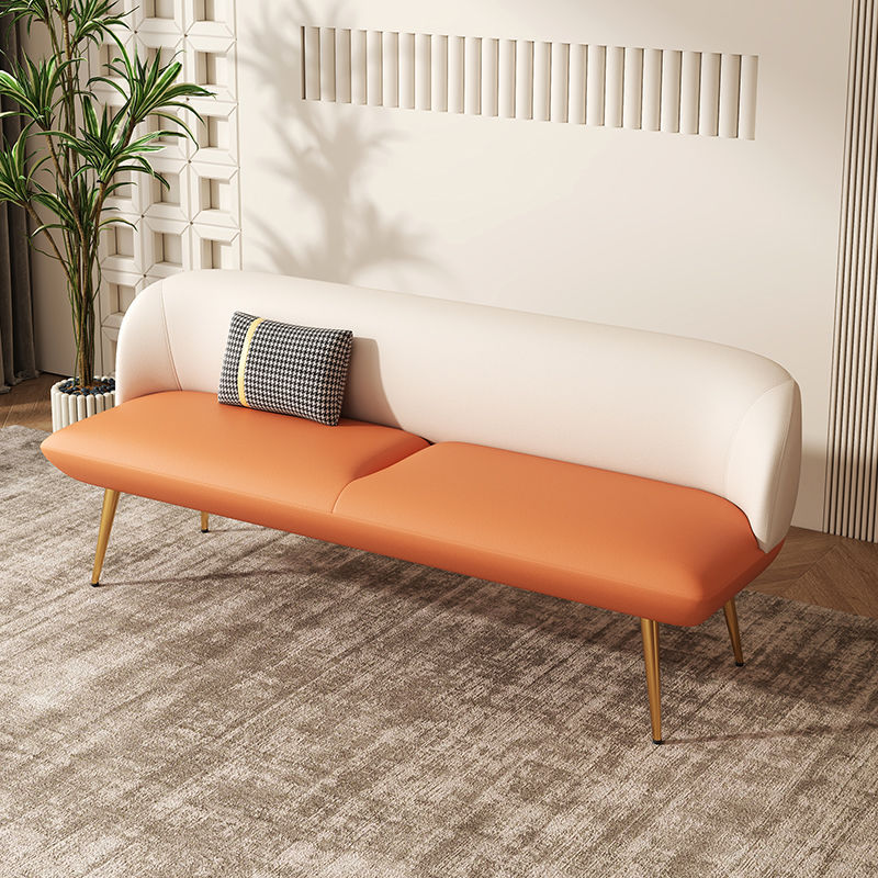 Modern Accessible Luxury Sofa Scandinavian Small Apartment Simple Apartment Popular Clothing Store Rental Room Technology Cloth Color Matching Sofa