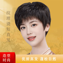 �ٰl�̰l�p�g��l���˰l�y���C��Ȼ�^��͸�⋌���l������ٰl�^��