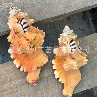 ��Ȼ����ؐ��ԭ�����쾰�˱��ղؼҾ��ֹ����϶Y�������