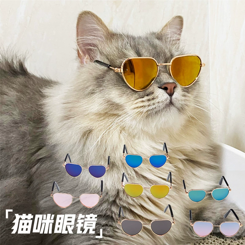 Очки для домашних животных Cat фотографируют, одеваются и одеваются