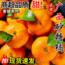 ���ڏV��ɰ�������rˮ������ժ�۽۽���ɳ�ǽ�����ؕ�������