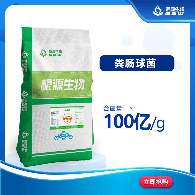 源头厂家 粪肠球菌  产乳酸  饲料添加剂 整袋发货