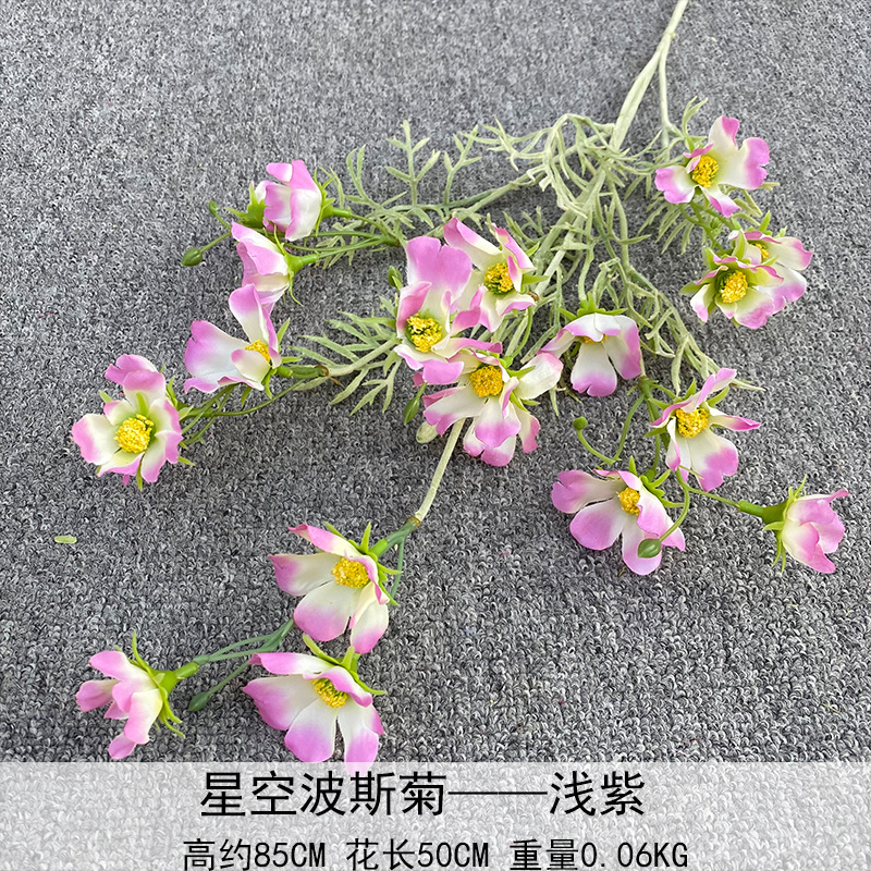 Cosmos de cielo estrellado púrpura claro