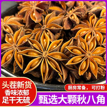 Vx|˽Ǵu⳴˟ɟou{ϴȫ