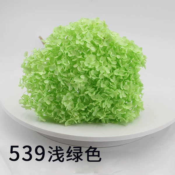 No. 539 light green (21~25) cm