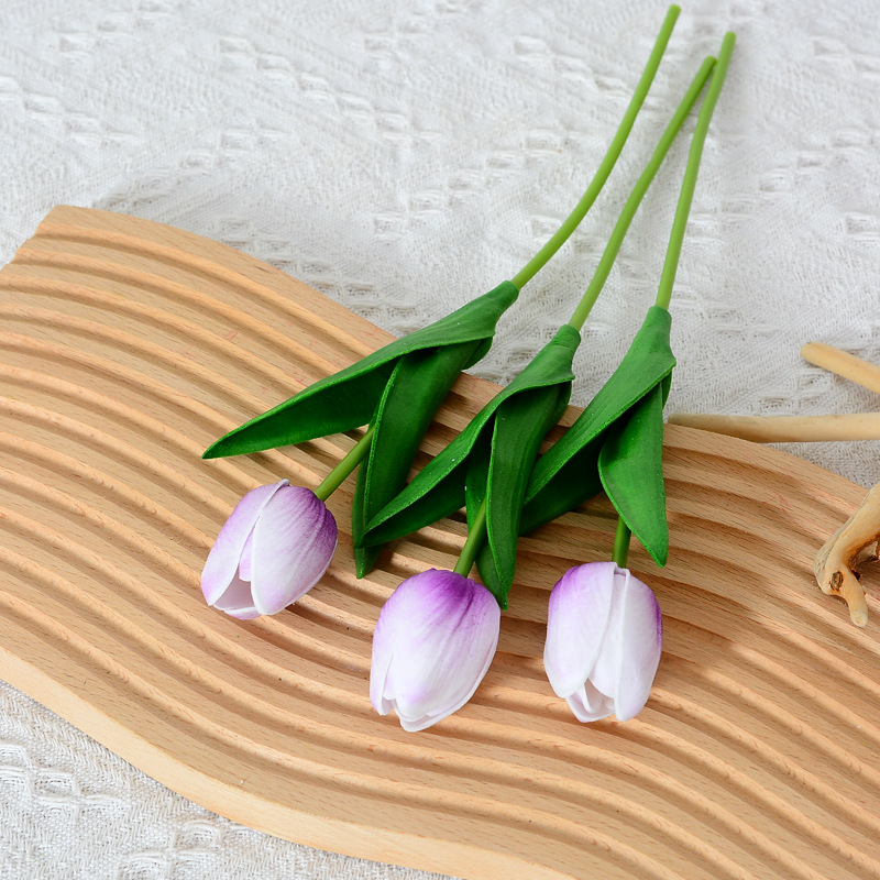 Púrpura sobre fondo blanco