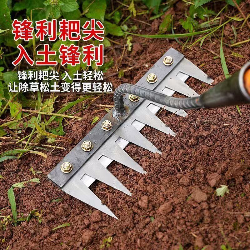 微信图片_202504101034483.jpg