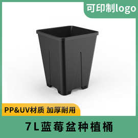 厂家批发pp方形加仑盆透气加深塑料方形花盆果树蓝莓盆种植桶