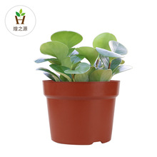 ����A�I�B�� �@ˇֲ�����Ի���I�B���������l�S�����l