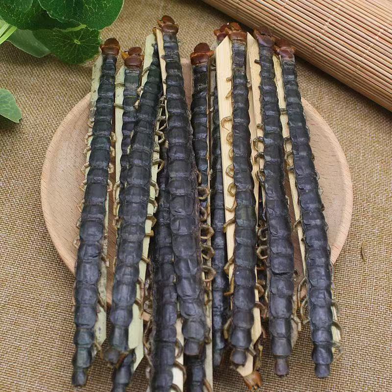 Dried Centipede Wu Gong Whole Herb Traditional TCM Ingredient Various Sizes Wholesale quality and texture