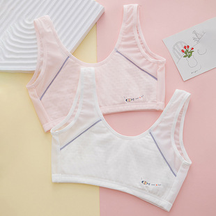 Children's underwear development period primary school girls vest summer mesh breathable tube top junior high school student bra
