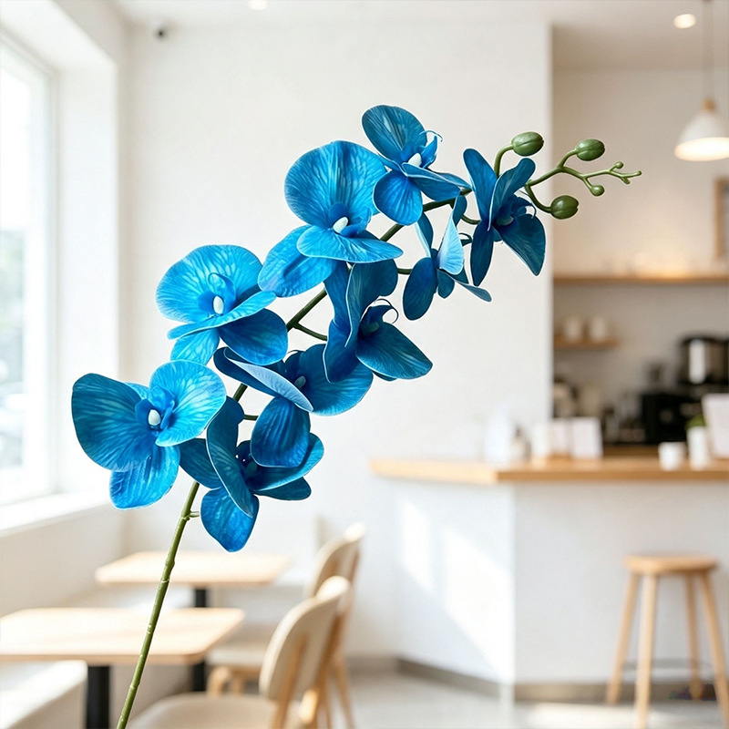 3D Phalaenopsis mới/màu xanh sapphire