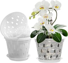 ����ˮ�׵��m�����͸�������m������҃Ⱥ����� 5Ӣ��