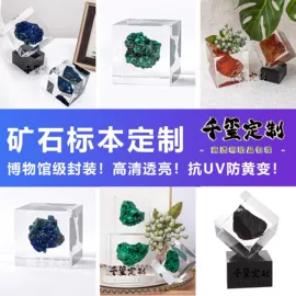 标本;工艺品加工;树脂工艺品