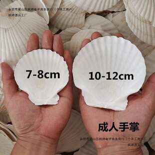 100Ƭ�b ������ɫ����ؐ�����l����ؐ�����İ뚤��ؐ�����ط۽z