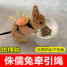 小兔子牵引绳防挣脱专用外出神器溜侏儒幼兔宝宝荷兰猪龙猫的绳米