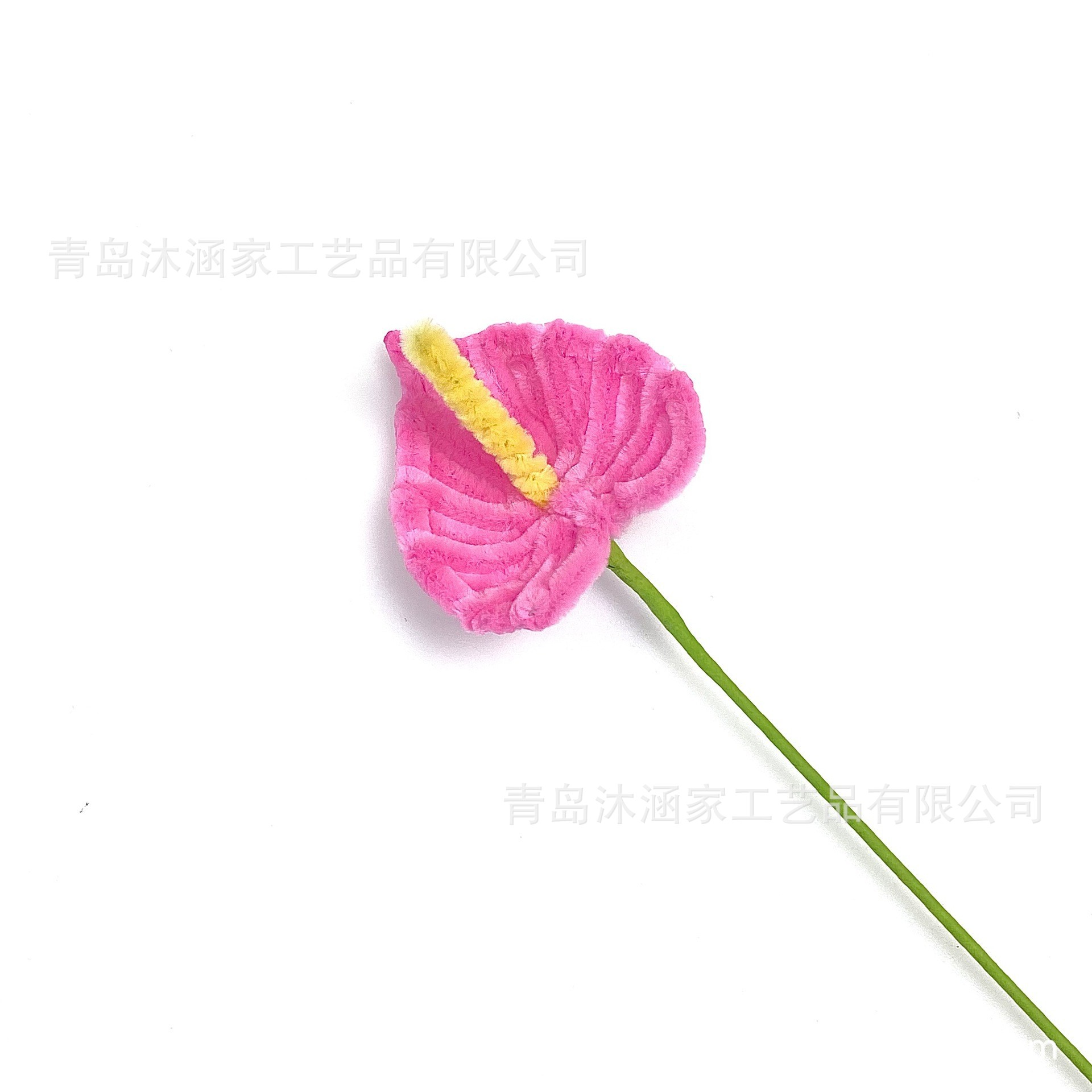 안스리움 [로즈 핑크]