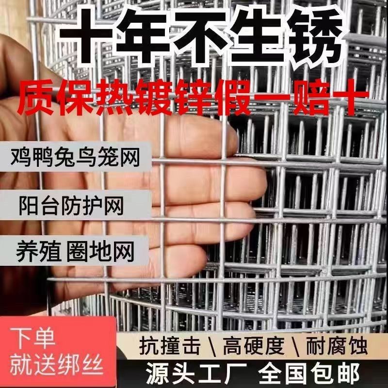 现货热镀锌铁丝网防锈铁丝网家禽围栏网鸡鸽兔笼网鱼塘果园防护网