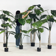 ���W�Ҿӿ͏dֲ���b�ɢβ�����˽����Է�������Gֲ�Ҿ��b��