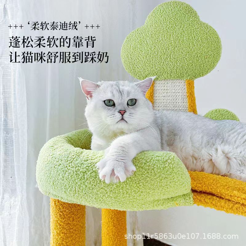 7f9cb23e904821430c0e87dc6e364c