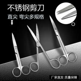 不锈钢剪刀实验剪刀解剖兽用尖头直头弯头厚款教学剪刀纱布拆线剪