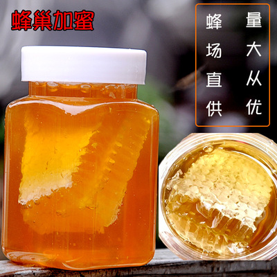 健鳳園農家瓶裝蜂巢蜜嚼著吃蜂蜜500克/瓶百多花巢加蜜批發蜂場