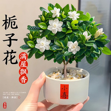 ���U�����Ǘd�ӻ������ļ��҃��_�������׺��B���ܾGֲ�����辰