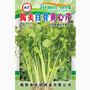 ���۲˷N�Ӱ׹��S���۲� С������10���b  �̨�����׷N�߲˷N��