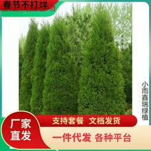 һlļ ɰؘѩӭɞغɌĹ