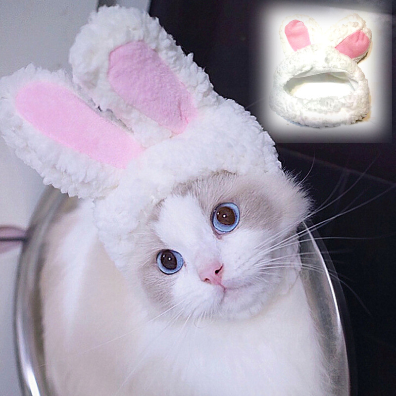 Cross-border gato sombrero lindo conejo crossdressing sombrero gato tocado Pascua Orejas de conejo mascota sombrero Orejas de conejo