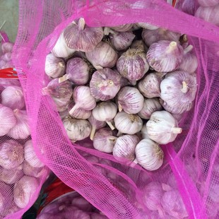 ���r������������̎���Ƀ� 6.0cm���l�հ����������r���Ѓ���