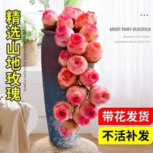 ɽ��õ�����ֲ���������F���⾫�x���ܾGֲ���̨�҃ȴ��w��õ��