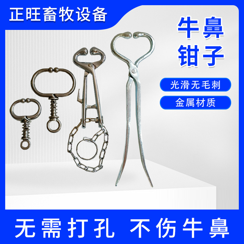 Pinzas de nariz de buey pequeño resorte grande resorte con cadena de mango largo de metal pinza de nariz de buey perforación pinza de nariz de buey sin agujeros
