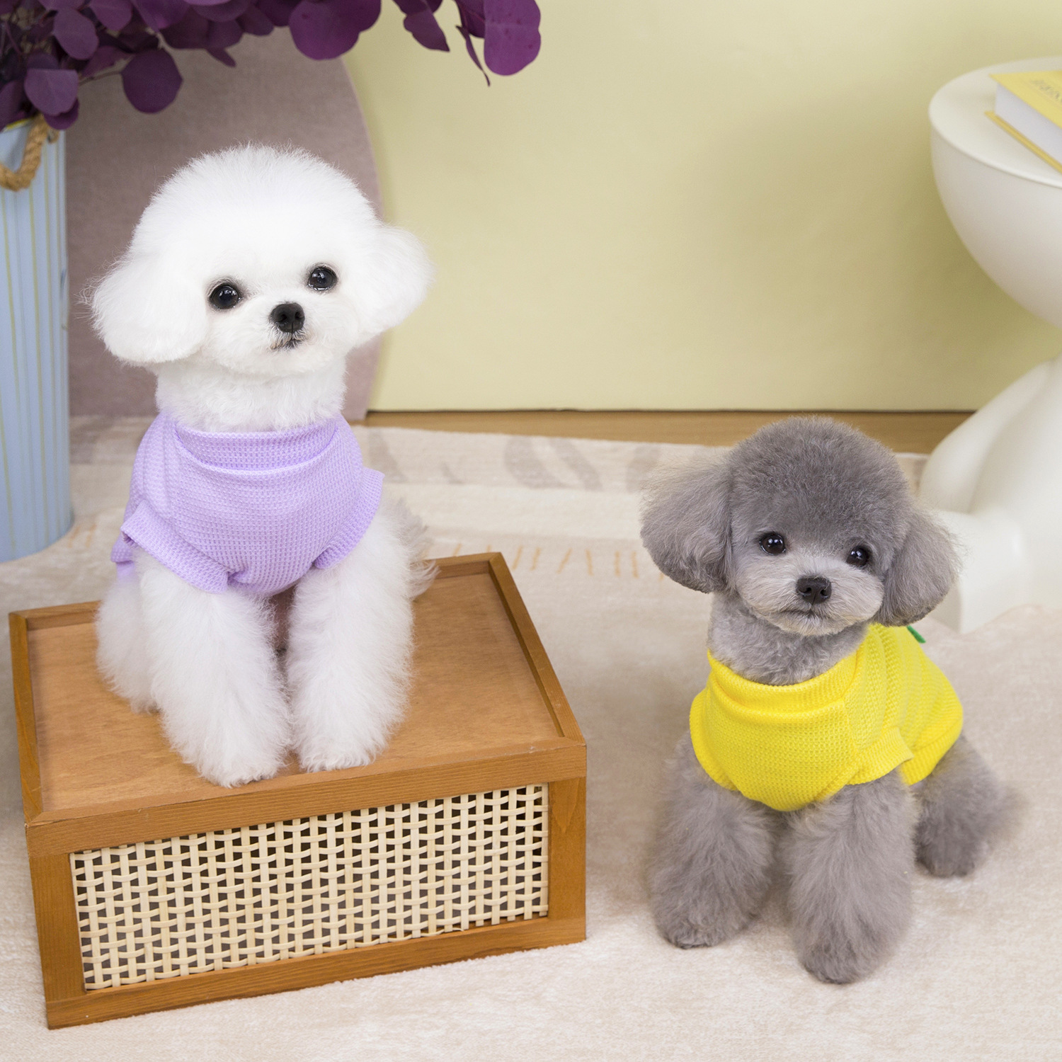 Nueva ropa para perros de primavera y verano de Amazon, linda ropa de protección solar delgada de dinosaurio, chaleco anti-caída para perros y gatos