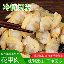 蛤蜊肉花甲鲜活花蛤黄蚬子肉花甲肉新鲜花螺海鲜贝非干货即食