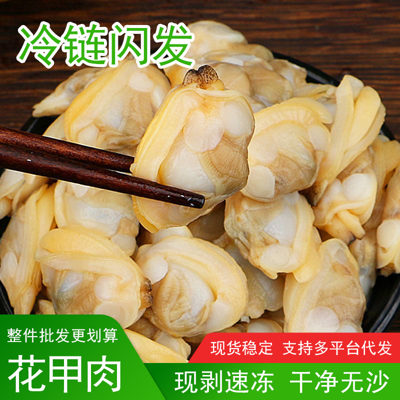 蛤蜊肉花甲鲜活花蛤黄蚬子肉花甲肉新鲜花螺海鲜贝非干货即食