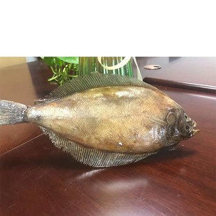 �l�~����ģ�� ��Ŀ�~ �p���� ���� �\�~���� ��N�~�  ģ�M����