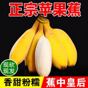 �����O���������Ŵ �����F��ֱ�l���r�㽶֧���������һ�����l