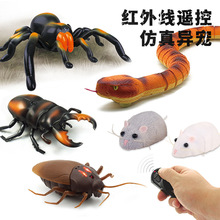 �羳�t�⾀�b������늄��߷������֩�붺؈��������x���M���