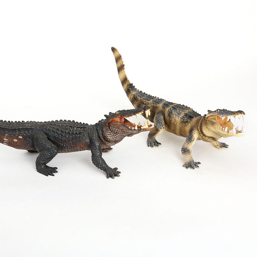 Children's simulation model amphibian crocodile toy Nile crocodile wild boar crocodile alligator wild animal model