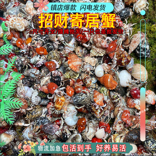 ����ľ�з�^�pз���T����з���ֻ���з��ꑻҰ������^�pз����