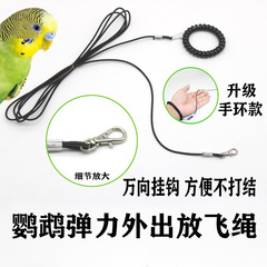 オウムはトトロのリスを飛ばして鳥の縄を散歩します。